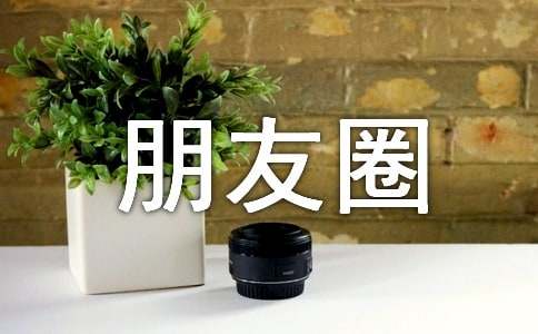 ����Ȧף����