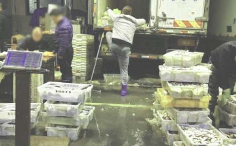 ����Э����