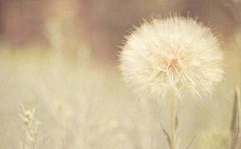 �ѹ�Ӣ����