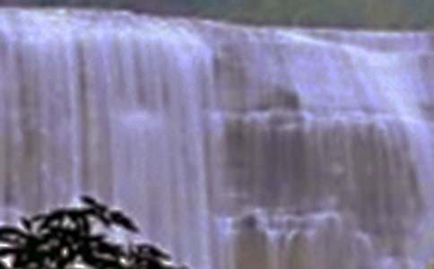 �ƹ����ٲ����δ�10ƪ