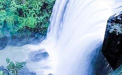 �ƹ����ٲ��ĵ��δ�(15ƪ)