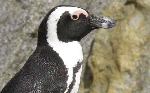 �������˹����졷�ۺ�У���ѡ25ƪ��