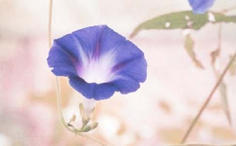 ������ʺ�ǣţ�����̰���ͨ��8ƪ��