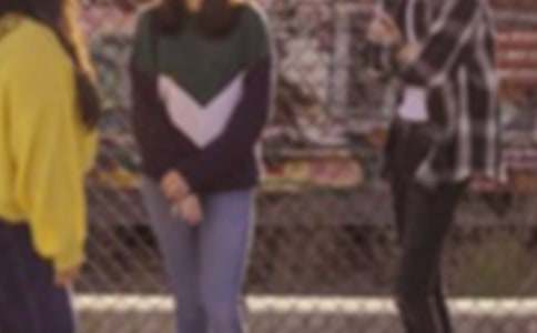 ���������Ź����ܽ�