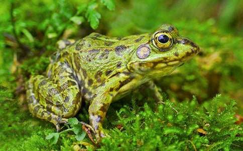 ���ܿ����̰�15ƪ