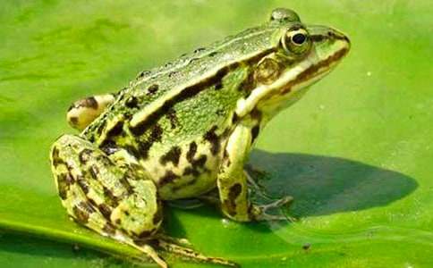 �������ܵĳ�����