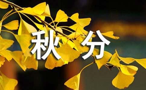 2026������ʺ��Ｏ��61��