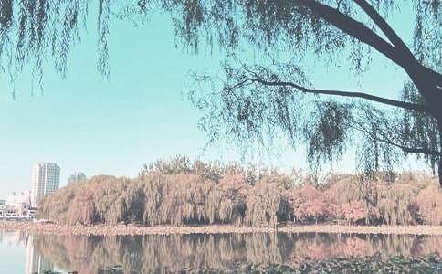 ���꼶�＾�����ƻ��ϼ���ƪ