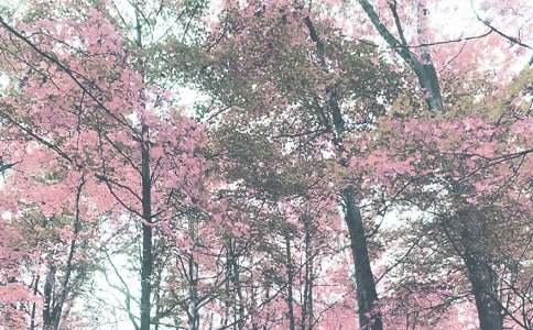 �＾С�๤���ƻ����9ƪ