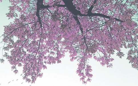 秋季小班工作计划合集七篇