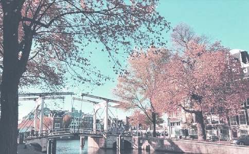 �＾ѧ�����񴦹����ܽ�