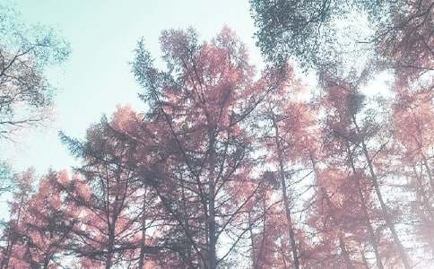 秋季小班工作计划八篇