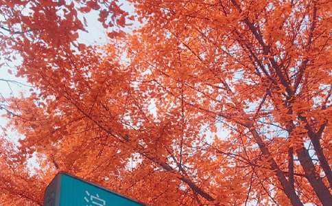 ��������ʤ����_�������