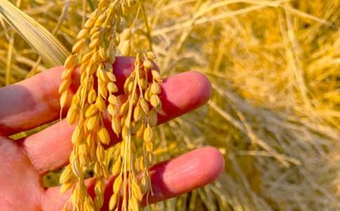 �������ռ򱨾���[15ƪ]