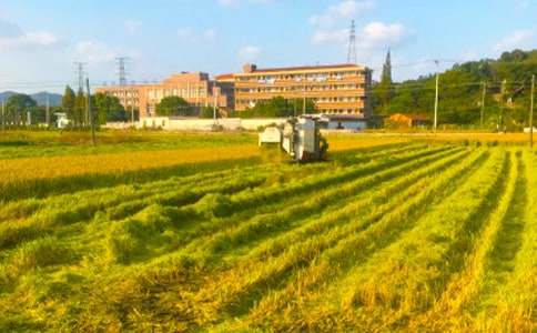 �����ڼ䰲ȫ������������