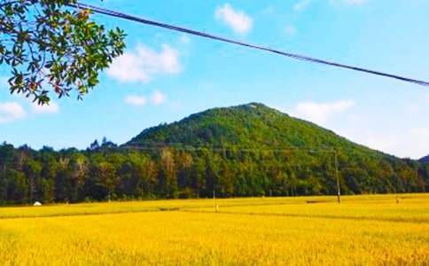 秋收期间安全生产隐患检查简报(精选11篇)