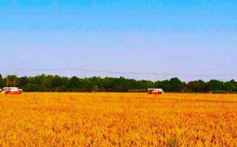 [��]�����ڼ䰲ȫ������������11ƪ