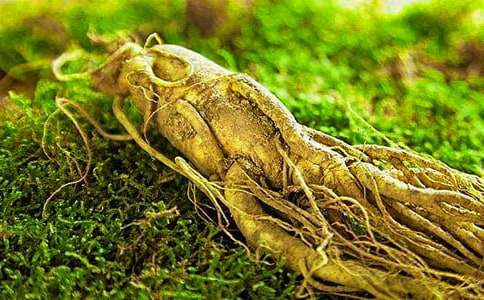 �˲ι����ġ���Ʒ��