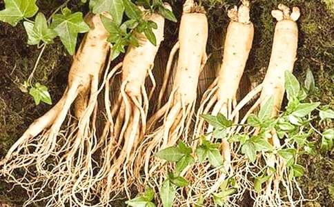 �˲�����Ӫ������