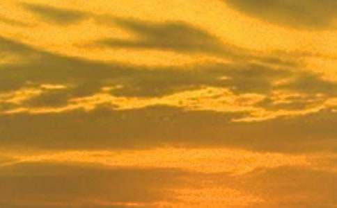 �ճ����������Ϣ�������