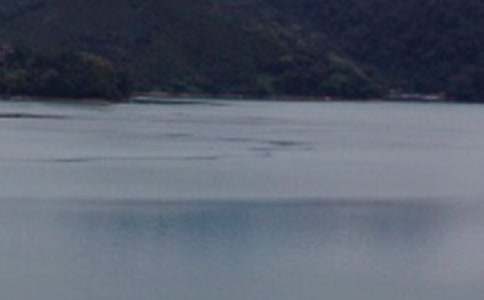 ����̶���δ�