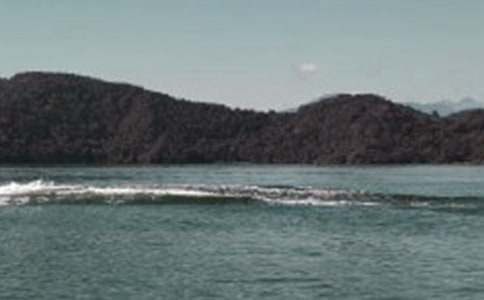 ����̶�ĵ��δ�15ƪ