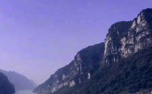 ��Ͽ���㵼�δ�