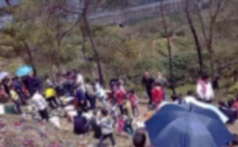 烈士陵园扫墓活动方案