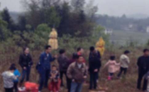 ��һ��ɨĹ���ģ�ͨ��21ƪ��