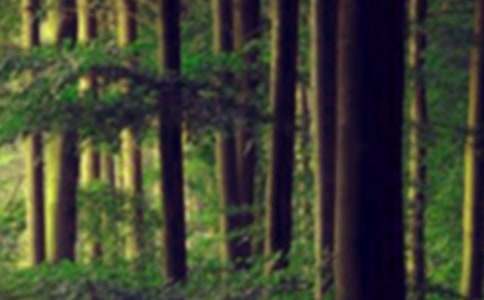 ɭ�ַ���������򱨴�ȫ8ƪ