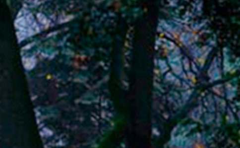 ����ɭ�ֱ���7ƪ