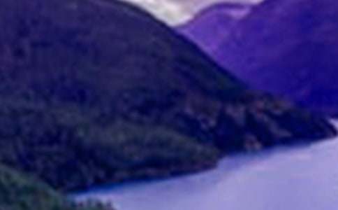 ɽˮ���ĵ���ᣨͨ��19ƪ��