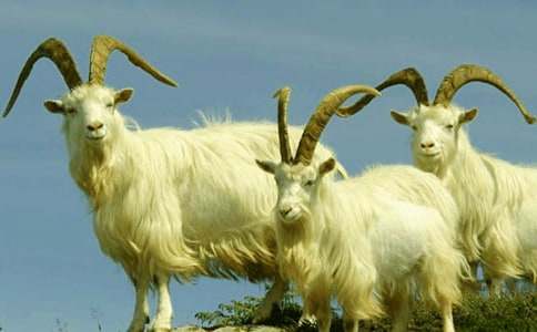 ��Сɽ���С���á��̰�