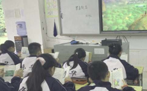 上课不玩手机保证书(15篇)