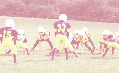 ������깬�����ܽᾫѡ15ƪ