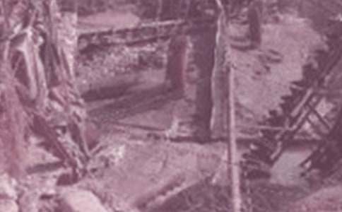 ʯ�͹����ģ�����