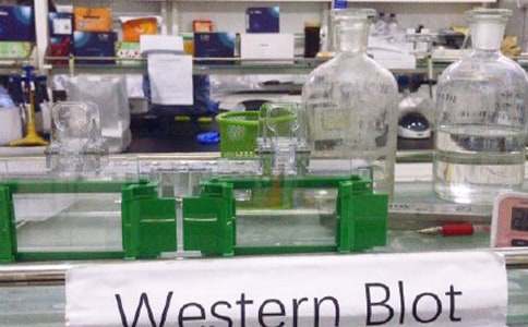 ����ʵ���ҹ����ƻ�