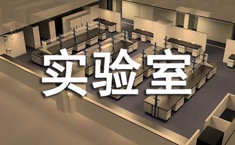 ѧУʵ���ҹ����ܽ�