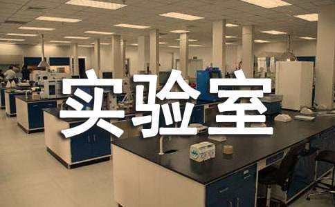 ʵ�������չ����ܽ�(10ƪ)