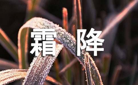霜降节气问候语