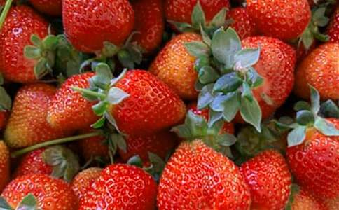 ϴˮ�����ĵ����ģ��