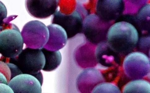 ��ˮ�������