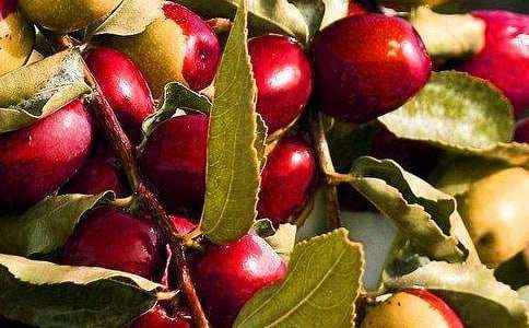 �óԵ�ˮ�����̰�