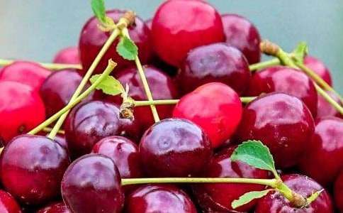 ˮ��Сѧ����