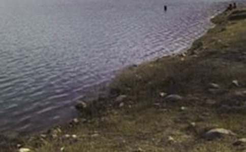 ˮ���������ܽᣨ��ѡ15ƪ��