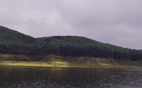 ˮ���Ѵ�����ܽᣨ��ѡ11ƪ��