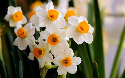 ˮ�ɻ����ġ��ر�15ƪ��