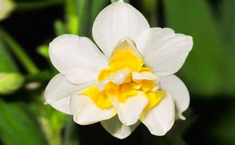 ˮ�ɻ�����15ƪ[����]