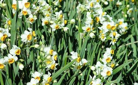 ˮ�ɻ����ġ�����15ƪ��