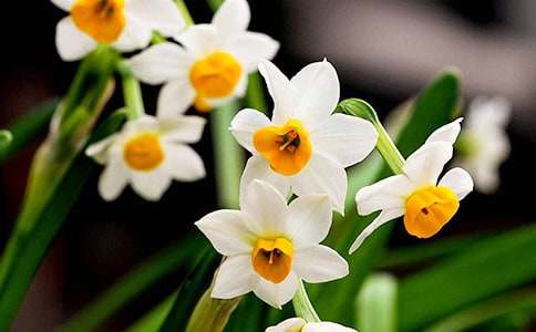 [����]ˮ�ɻ�����